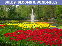 Holland and Dutch Bulb Fields